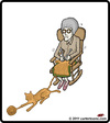 Cartoon: Knit Cat (small) by cartertoons tagged cat knit grandma rocking yarn