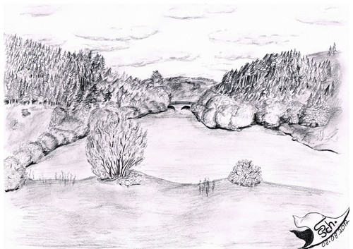 Cartoon: Marbach Stausee (medium) by swenson tagged brücke,landschaft,marbach,marbachstausee,see,stausee,wasser,wald