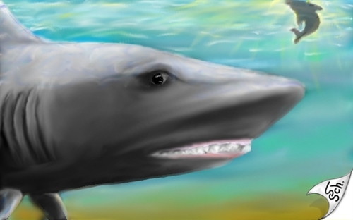 Cartoon: Sharkwater (medium) by swenson tagged morphingtargetpainting,hai,shark,see,meer,wahle,wal,moon,mond,sky,haven,himmel