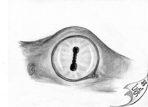 Cartoon: The Eye of... (medium) by swenson tagged eye,auge,reptil,amphib