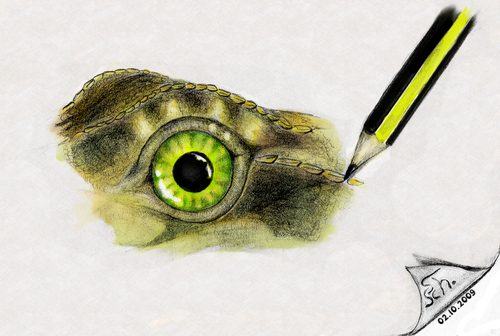 Cartoon: The eye of Speedy 2 (medium) by swenson tagged animal,animals,reptil,reptilien,auge,eye