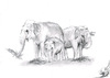 Cartoon: Elephas maximus indicus (small) by swenson tagged animal,tier,elefant,elephant,asien,asiatisch,asia