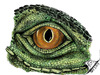 Cartoon: Eye of Iguana (small) by swenson tagged eye reptil dragon drache echse animals animal auge leguan