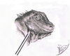 Cartoon: Iguana (small) by swenson tagged lissard iguana echse leguan dragon drache animal tier