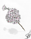 Cartoon: Kirschblüte (small) by swenson tagged kirschblüte japan deutschland 2011