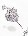 Cartoon: Kirschblüte (small) by swenson tagged kirschblüte,japan,deutschland,2011