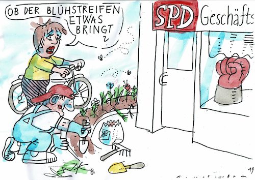 Blühstreifen Blühstreifen