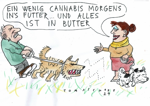 Cannabis Cannabis