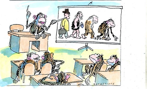 Cartoon: Evolution (medium) by Jan Tomaschoff tagged evolution,beamer,affe,ape,monkey,schimpanse,chimp,chimpanzee,lehrer,teacher,class,klasse,lesson,unterricht,bildung,education,vortrag,presentation,präsentation,schule,school,businessman,geschäftsmann,finger,caveman,höhlenmensch,charles,darwin,darwinismus,darwinism,kreationismus,creationsism,evolution,beamer,affe,ape,monkey,schimpanse,chimp,chimpanzee,lehrer,teacher,class,klasse,lesson,unterricht,bildung,education,vortrag,presentation,präsentation,schule,school,businessman,geschäftsmann,finger,caveman,höhlenmensch,charles,darwin,darwinismus,darwinism,kreationismus,creationsism