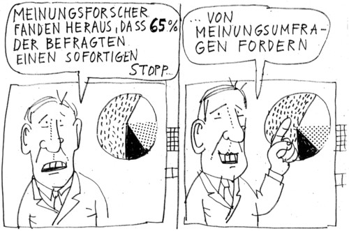 Meinungsforscher Meinungsforscher