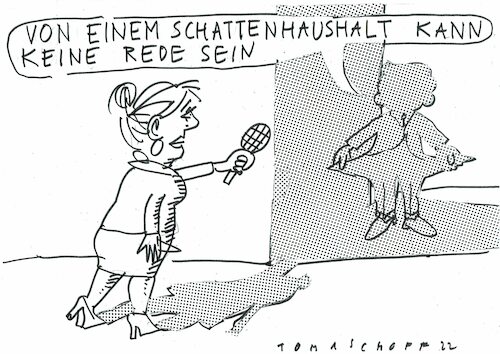 Schattenhaushalt