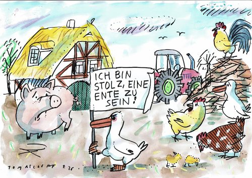 Stolz Stolz