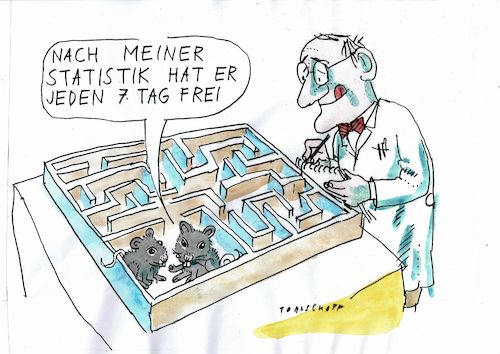 Studie Studie