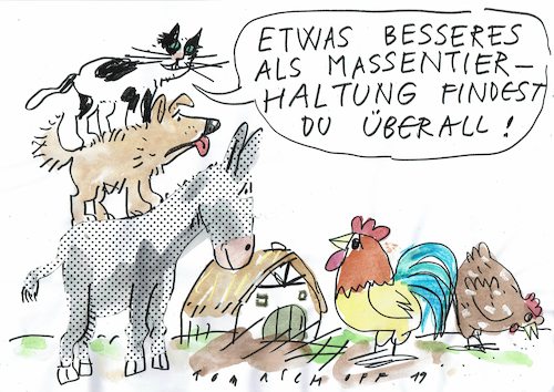 Cartoon: Tierhaltung (medium) by Jan Tomaschoff tagged landwirtschaft,tierhaltung,landwirtschaft,tierhaltung