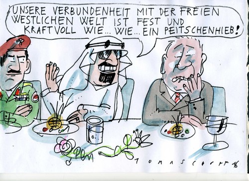 Cartoon: Verbundenheit (medium) by Jan Tomaschoff tagged menschenrechte,verbündete,menschenrechte,verbündete
