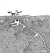 Cartoon: bones (small) by draganm tagged dog,bones