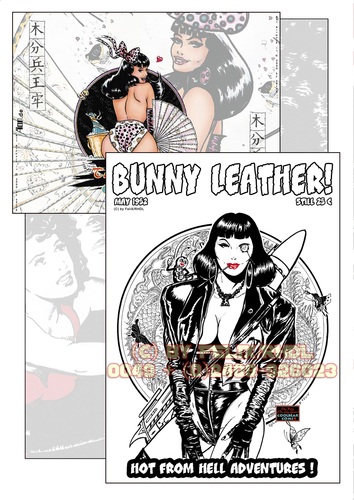 Cartoon: The Free FeliX Pin Up E-Book 2 (medium) by FeliXfromAC tagged felix,alias,reinhard,horst,aachen,design,line,felixfromac,horstmeister,bad,girls,coolbear,comix,erotainment,pin,up,pinup,the,illustration,retro,action,illustrator,nrw,germany