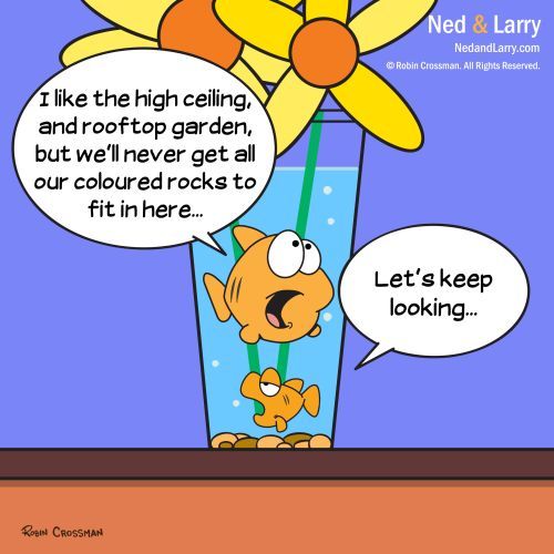 Cartoon: Ned and Larry - New Apartment (medium) by NedandLarryComics tagged cartoon,cartoons,comic,comics,goldfish,fish,apartment,funny