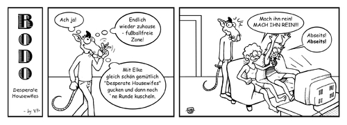 Cartoon: BODO - Desperate Housewives (medium) by volkertoons tagged volkertoons,cartoon,comic,strip,bodo,ratte,rat,frau,frauen,woman,women,frauenversteher,fernsehen,tv,television,desperate,housewives,fußball,soccer,football