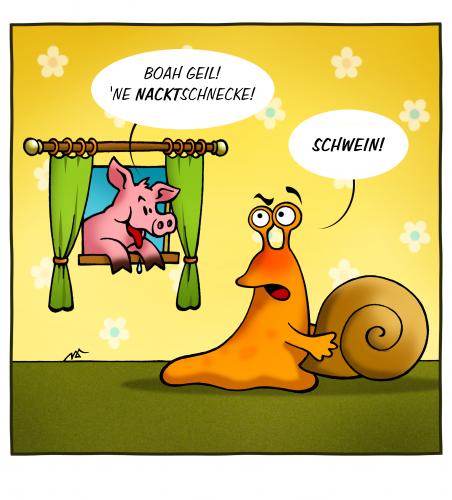 Nacktschnecke Nacktschnecke