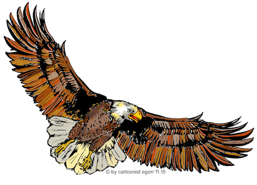 Fliegender Adler By Cartoonist Egon Nature Cartoon Toonpool