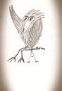 Cartoon: Freedom (small) by KenanYilmaz tagged freedom,bird,birds