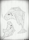 Cartoon: Love Story.. (small) by KenanYilmaz tagged love,story