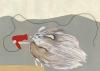 Cartoon: mähenschwein (small) by diebiene tagged viel,viel,wind