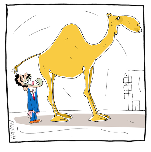 Cartoon: Heilwirkung (medium) by Hayati tagged kamel,urin,aberglaube,unwissen,wissenschaft,camel,tuerkei,karikatür,hayati,boyacioglu,kamel,urin,aberglaube,unwissen,wissenschaft,camel,tuerkei,karikatür,hayati,boyacioglu