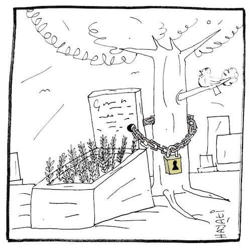 Cartoon: Neulich im Friedhof (medium) by Hayati tagged priedhof,cemetery,mezarlik,cartoon,hayati,boyacioglu,priedhof,cemetery,mezarlik,cartoon,hayati,boyacioglu