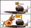 Cartoon: High Speed (small) by sier-edi tagged post,schnecke,express