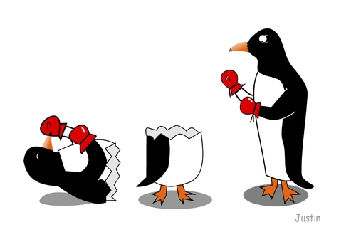 Cartoon: Pinguim boxer (medium) by claude292 tagged animal