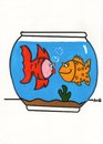 Cartoon: love fish (small) by claude292 tagged fish