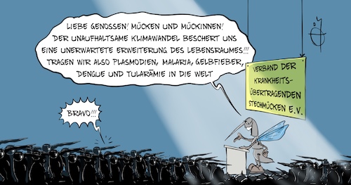 20210708-Stechmuecken 20210708-Stechmuecken