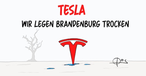 20220213-TeslaTrocknet 20220213-TeslaTrocknet