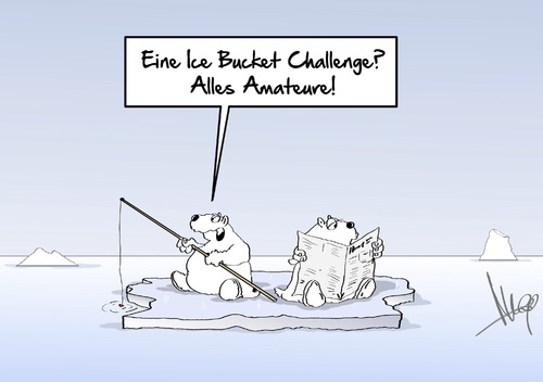 Cartoon: alles Amateure (medium) by Marcus Gottfried tagged eis,kübel,eiskübel,wettbewerb,ice,bucket,challenge,marcus,gottfried,cartoon,karikatur,dilattanten,amateure,anfänger,eisbär,scholle,eisscholle,pol,eis,kübel,eiskübel,wettbewerb,ice,bucket,challenge,marcus,gottfried,cartoon,karikatur,dilattanten,amateure,anfänger,eisbär,scholle,eisscholle,pol