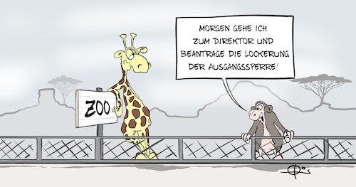 Cartoon: Ausgangssperre (medium) by Marcus Gottfried tagged ausgangssperre,corona,social,distance,zoo,ausgangssperre,corona,social,distance,zoo