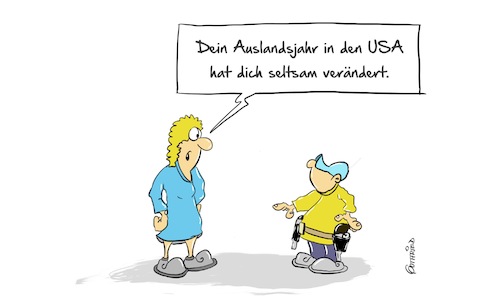 Auslandsjahr Auslandsjahr