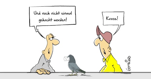 Brieftaube Brieftaube