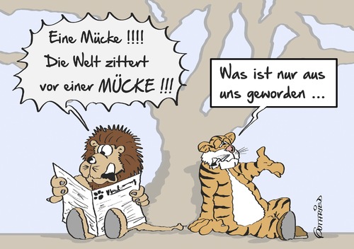 eine Mücke