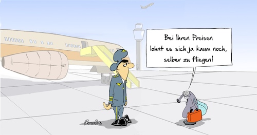 Flugpreise Flugpreise