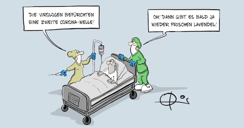 Frischer Lavendel Frischer Lavendel