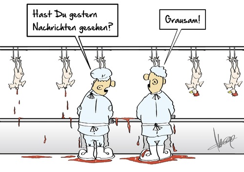 grausame Nachrichten grausame Nachrichten