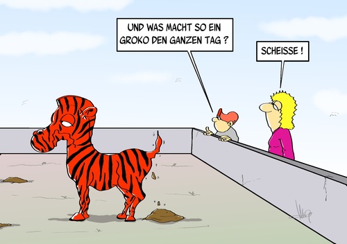Groko Zoo Groko Zoo