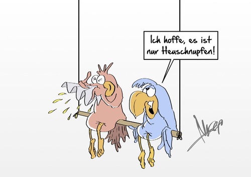 nur Heuschnupfen nur Heuschnupfen