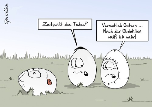 Osterobduktion Osterobduktion