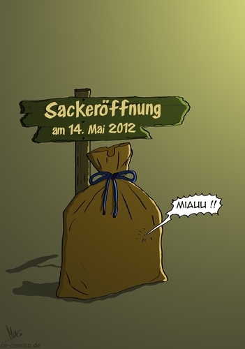 Cartoon: Sackeröffnung (medium) by Marcus Gottfried tagged sack,eröffnung,katze,überraschung,ungewissheit,nrw,wahl,röttgen,kraft,cdu,csu,fdp,linke,piraten,spd,umfrage,gewinn,absturz,landtag,düsseldorf,abschied