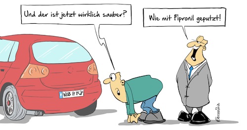 Sauber Sauber