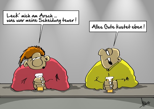 teure Scheidung teure Scheidung