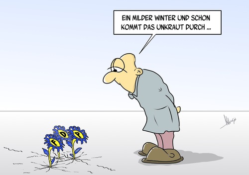 Unkraut Unkraut